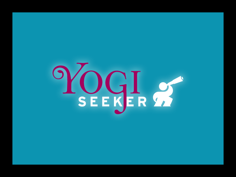 Yogi Seeker